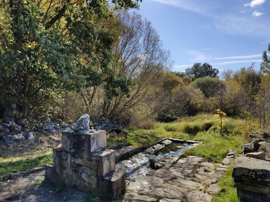 Otero de Bodos Casa Rural Tozolosolobos מראה חיצוני תמונה